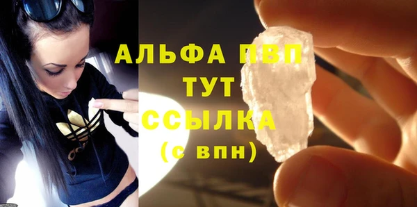 сатива Богданович
