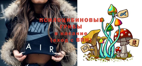 PSILOCYBIN Верхнеуральск