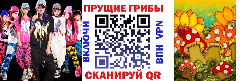 Псилоцибиновые грибы прущие грибы  Северск 